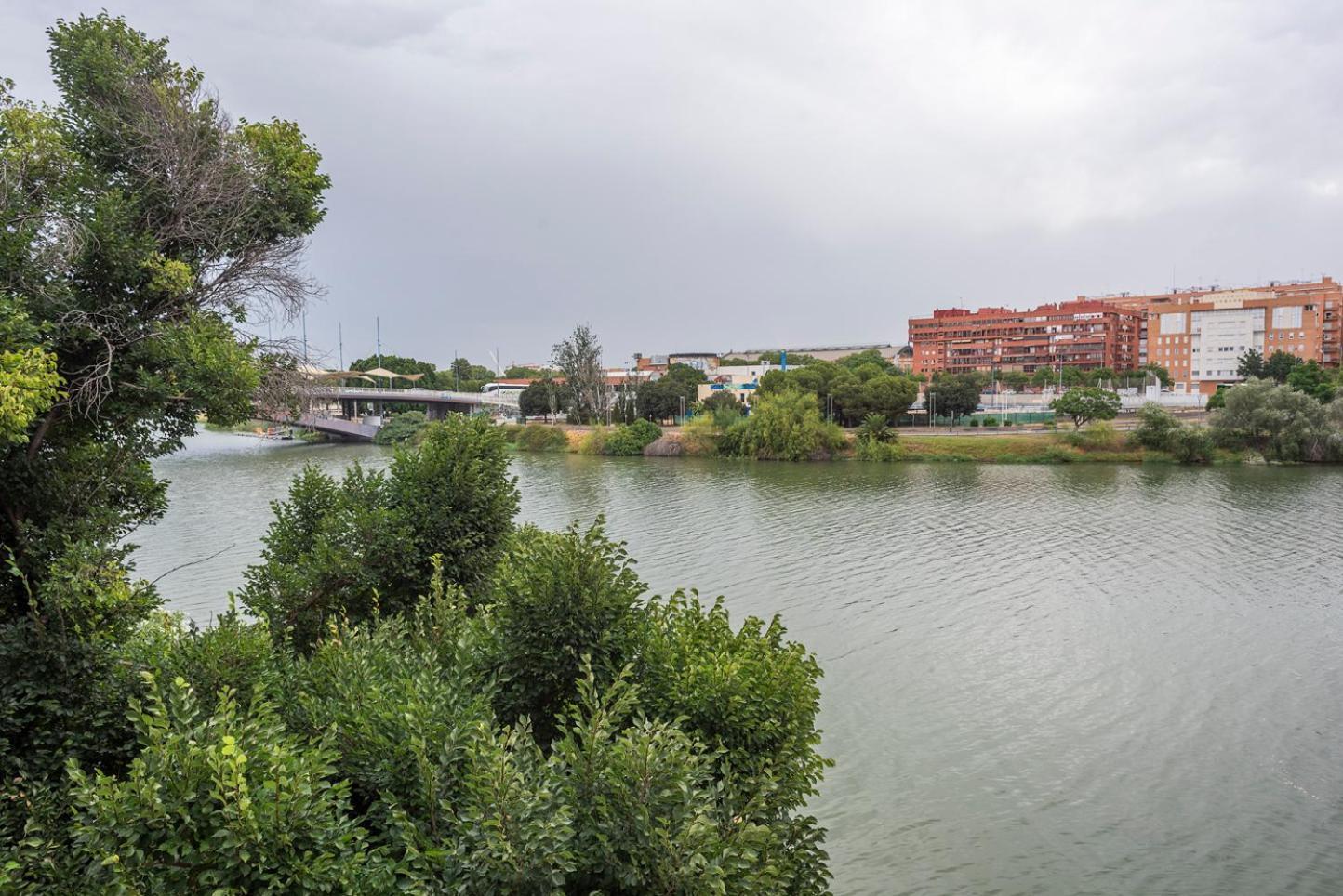Alohamundi Castilla V-Vi Севилья Экстерьер фото